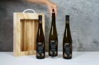 Coffret VIGNUM Découverte Terroir - Riesling