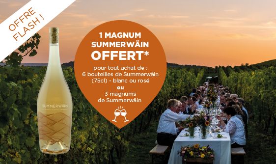 fr LES VIGNERONS-PROMOTION-SUMMERWAIN-BANNER SITE-FR