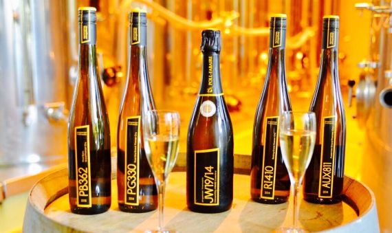 2017-10-09-Jongwenzer